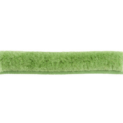 T8015508.123.0 by Brunschwig & Fils Trim Brunschwig & Fils Trim T8015508.123.0Trim COTTON - 50%;WOOL - 50% France </p><p>Repeat: H: , V: 0.64 - Fabric Carolina -