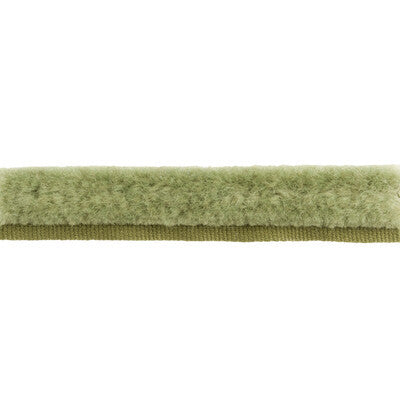 T8015508.130.0 by Brunschwig & Fils Trim Brunschwig & Fils Trim T8015508.130.0Trim COTTON - 50%;WOOL - 50% France </p><p>Repeat: H: , V: 0.64 - Fabric Carolina -