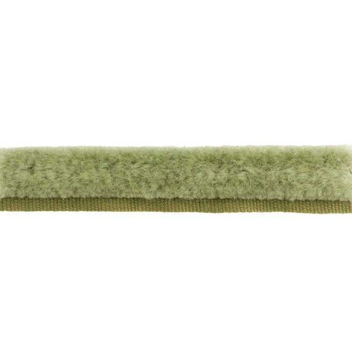 Bf Bf:: by Brunschwig & Fils Trim Brunschwig & Fils Trim Bf Bf:: Trim COTTON - 50%;WOOL - 50% France </p><p>Repeat: H: , V: 0.64 - Fabric Carolina -