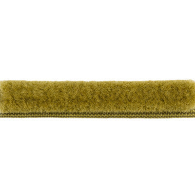 T8015508.3.0 by Brunschwig & Fils Trim Brunschwig & Fils Trim T8015508.3.0Trim COTTON - 50%;WOOL - 50% France </p><p>Repeat: H: , V: 0.64 - Fabric Carolina -