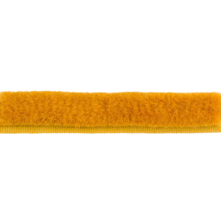 Bf Bf:: by Brunschwig & Fils Trim Brunschwig & Fils Trim Bf Bf:: Trim COTTON - 50%;WOOL - 50% France </p><p>Repeat: H: , V: 0.64 - Fabric Carolina -