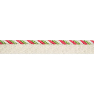 Carimar Cord Calypso by Brunschwig & Fils Trim