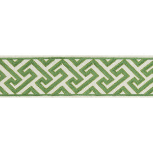 Sanchi Tape Kiwi by Brunschwig & Fils Trim