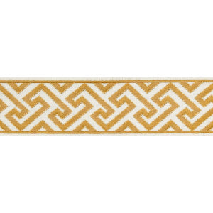 Sanchi Tape Sunflower by Brunschwig & Fils Trim
