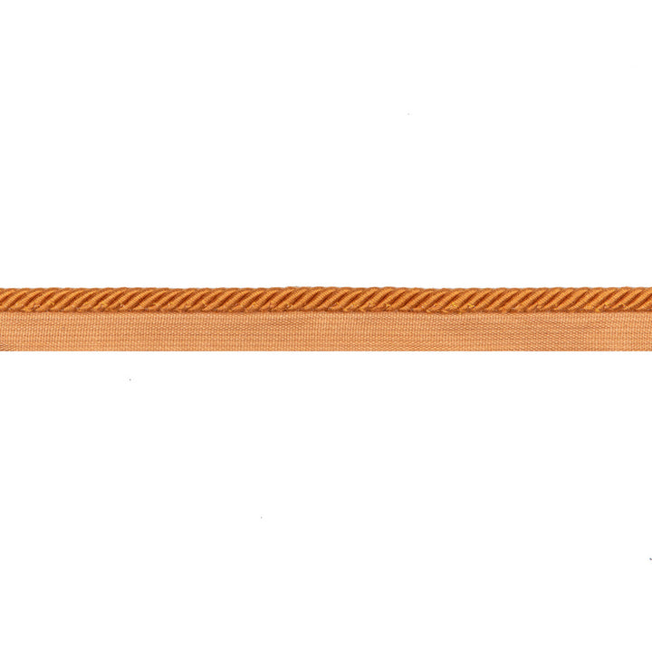 Barodet Cord Saffron by Brunschwig & Fils Trim Brunschwig & Fils Trim Barodet Cord SaffronTrim PASSEMENTERIE VOLUME I COTTON - 60%;VISCOSE - 40% France </p><p>Repeat: H: 0, V: 0 0.32 - Fabric Carolina -