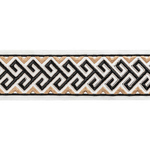 Audette Tape Onyx T8022101.84.0 by Brunschwig & Fils Trim