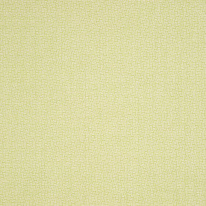 Highline Green T83054 by Thibaut Wallpaper