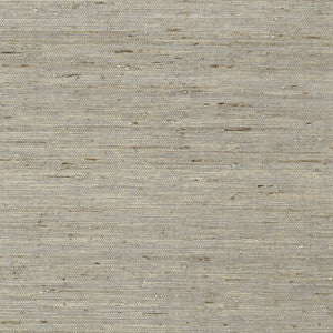 Maranta Arrowroot Grey T85005 by Thibaut Wallpaper