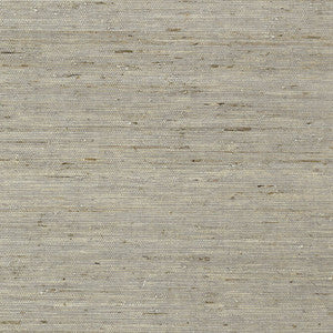 Maranta Arrowroot Grey T85005 by Thibaut Wallpaper