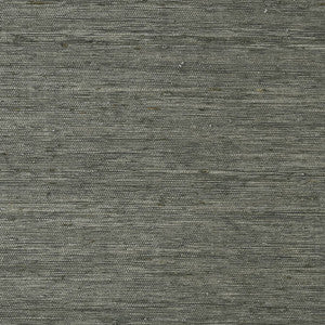 Maranta Arrowroot Black T85009 by Thibaut Wallpaper