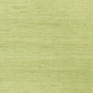 Maranta Arrowroot Green T85012 by Thibaut Wallpaper