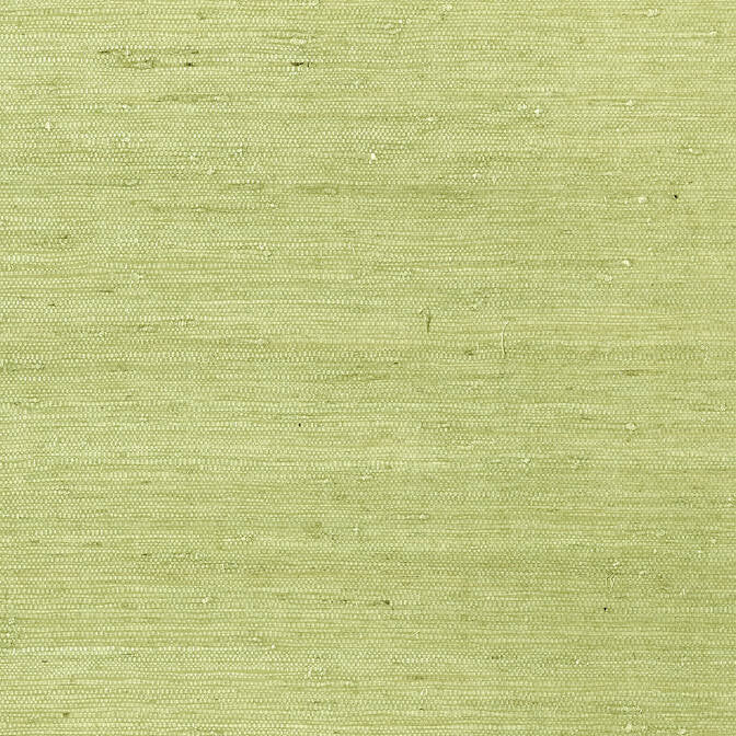 Maranta Arrowroot Green T85012 by Thibaut Wallpaper Thibaut Wallpaper Maranta Arrowroot Green T85012Wallpaper Greenwood Grasscloth Wallpaper KOREA </p><p>Repeat: V: - 36 - Fabric Carolina -