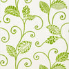 WATERBURY TRAIL - Green by Thibaut Wallpaper