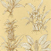 TROPICAL TOILE - Beige on Beige by Thibaut Wallpaper