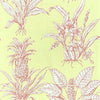 TROPICAL TOILE - Pink on Green by Thibaut Wallpaper