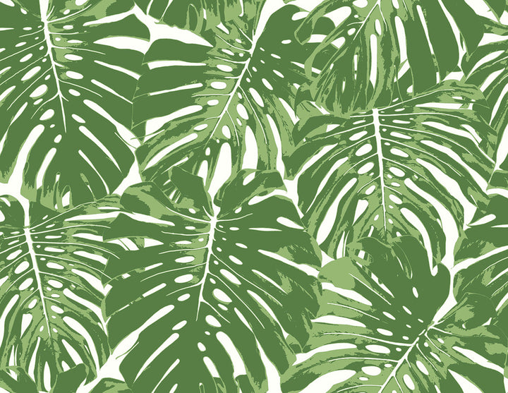 Jamaica Basil Green and White by Seabrook Wallpaper Tortuga United States 60.75 20.87" 27" - Fabric Carolina -