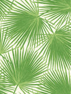 Aruba Fern Green and White TA20204 by Seabrook Designs Wallpaper