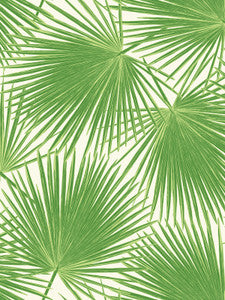 Aruba Fern Green and White by Seabrook Wallpaper