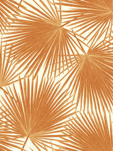 Aruba Rust Orange and White by Seabrook Wallpaper