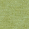 Curacao Apple Green TA20504 by Seabrook Designs Wallpaper