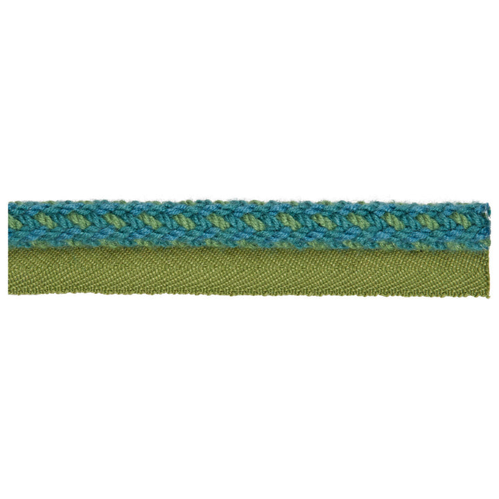 Vine Cord Turquoise by Kravet Design Trim ACRYLIC - 72%;COTTON - 14%;POLYESTER - 14% China LIGHT Horizontal: 0 and Vertical: 0 0.25 - Fabric Carolina -