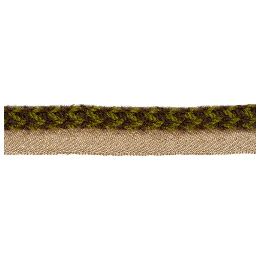 Vine Cord Lichen by Kravet Design Trim - ACRYLIC - 72%;COTTON - 14%;POLYESTER - 14% China LIGHT Horizontal: 0 and Vertical: 0 0.25 - Fabric Carolina -