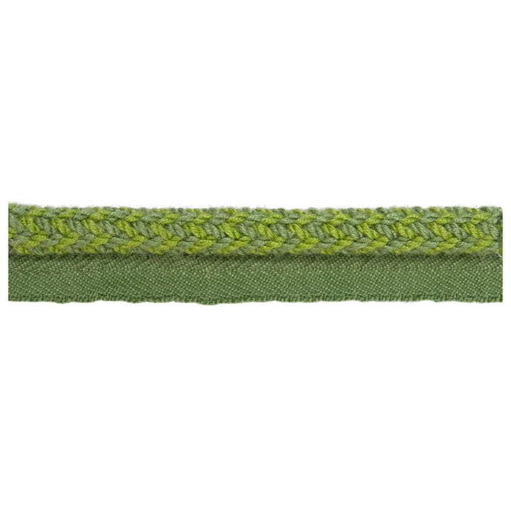 Vine Cord Mojito by Kravet Design Trim - ACRYLIC - 72%;COTTON - 14%;POLYESTER - 14% China LIGHT Horizontal: 0 and Vertical: 0 0.25 - Fabric Carolina -