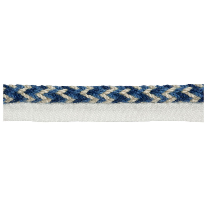 Vine Cord Seaport by Kravet Design Trim - ACRYLIC - 72%;COTTON - 14%;POLYESTER - 14% China LIGHT Horizontal: 0 and Vertical: 0 0.25 - Fabric Carolina -