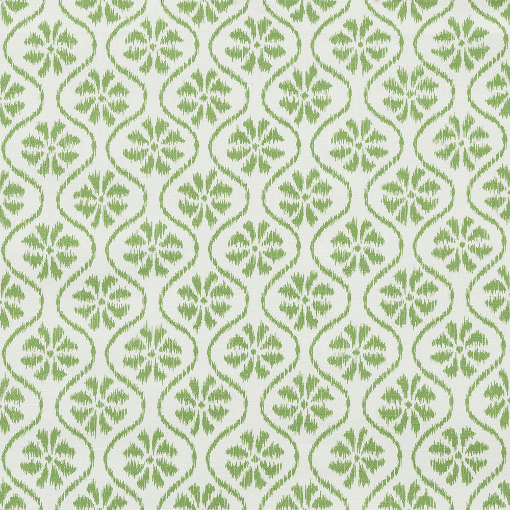 Talara Fern by Kravet Basics Fabric CEYLON COTTON - 100% India Horizontal: 3.88 and Vertical: 3.88 54 - Fabric Carolina -