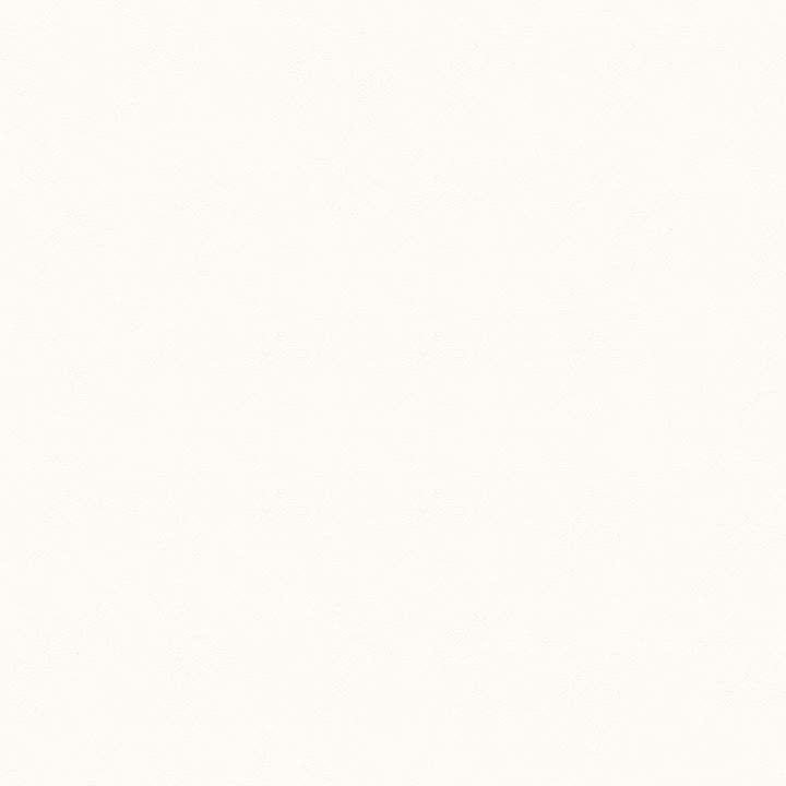 Indy 61 White by ABBEYSHEA Fabric N/A 100% Polyester China 15,000 Double Rubs </p><p>Repeat: Horizontal: 13.5" (34.3 cm) Across the Roll and Vertical: 13.5" (34.3 cm) Up the Roll 55" (140 cm) - Fabric Carolina -