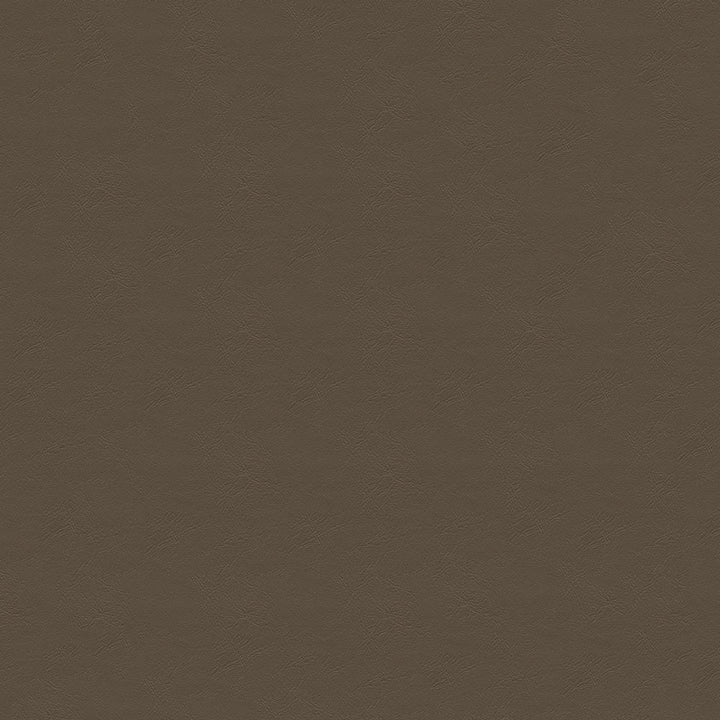 Indy 6 Brown by ABBEYSHEA Fabric N/A 100% Polyester China 15,000 Double Rubs </p><p>Repeat: Horizontal: 13.5" (34.3 cm) Across the Roll and Vertical: 13.5" (34.3 cm) Up the Roll 55" (140 cm) - Fabric Carolina -