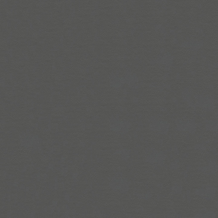 Indy 908 Charcoal by ABBEYSHEA Designer Fabric N/A 70% Cotton, 30% Linen China 10,000 Double Rubs </p><p>Repeat: Horizontal: 24.6" (62.5 cm) Across the Roll and Vertical: 24.6" (62.5 cm) Up the Roll 57" (144 cm) - Swanky Fabrics -
