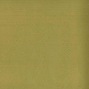 Tally Citron 54 by Norbar Fabric