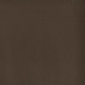 Tally Earth 84 by Norbar Fabric ENVICTA 100% POLYURETHANE CHINA 54 - Fabric Carolina -