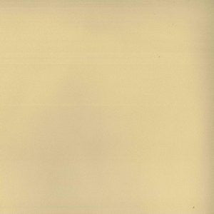 Tally Parchment 605 by Norbar Fabric ENVICTA 100% POLYURETHANE CHINA 54 - Fabric Carolina -