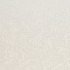 Tamarac 8 Eggshell by Marcus William Fabric