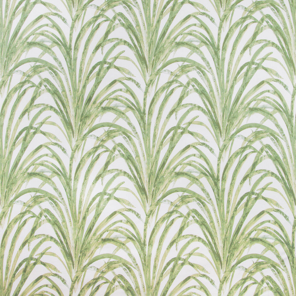 Tamaris-3 by Kravet Basics Fabric COTTON - 100% Peru HEAVY Horizontal: 13.5 and Vertical: 25.25 54 - Fabric Carolina -