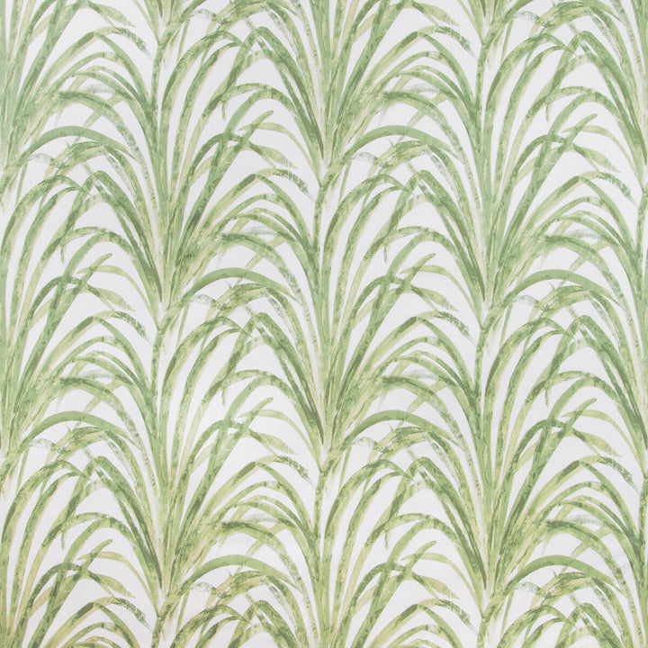 Kravet Basics Tamaris-3 by Kravet Basics Fabric Kravet Basics Fabric Kravet Basics Tamaris-3Fabric COTTON - 100% Peru </p><p>Repeat: H: 13.5, V: 25.25 54 - Fabric Carolina -