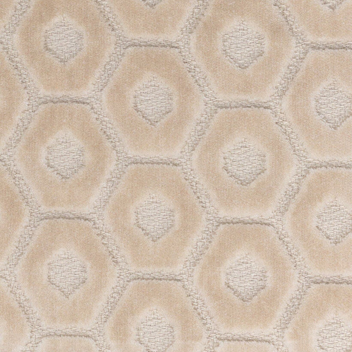 Tambourine 5 Cream by Stout Fabric Stout Fabric Tambourine 5 CreamFabric PILED HIGH VELVETS 88%SVI 12%POL INDIA </p><p>Repeat: H: 2.500, V: 1.750 56 in - Fabric Carolina -