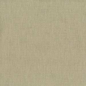 Tangier Chino by Norbar Fabric 80% POLYESTER 20% RAYON INDIA 54" - Fabric Carolina -
