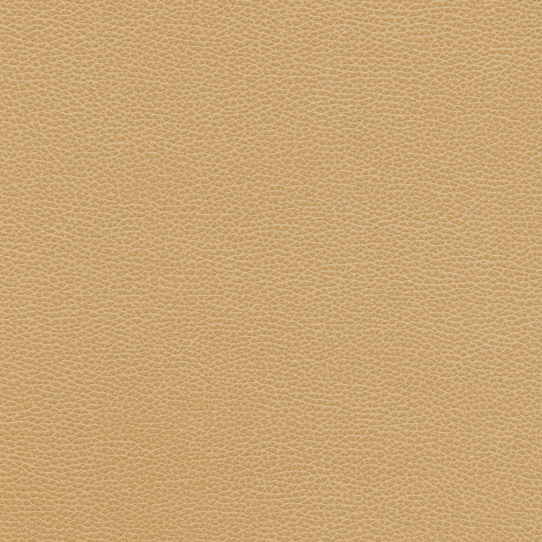 Kravet Design - Tannin-16 By Kravet Design Fabric