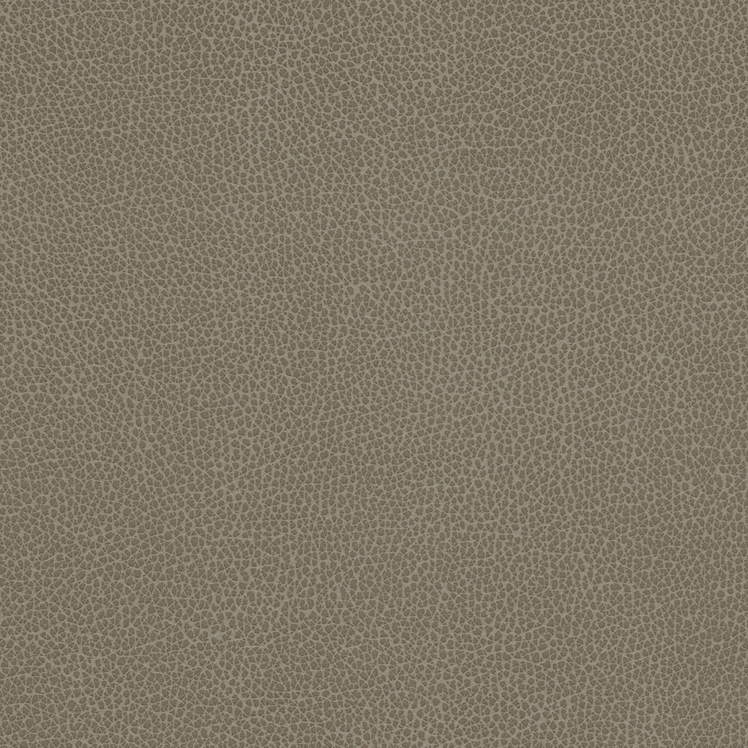 Kravet Design - Tannin-21 By Kravet Design Fabric