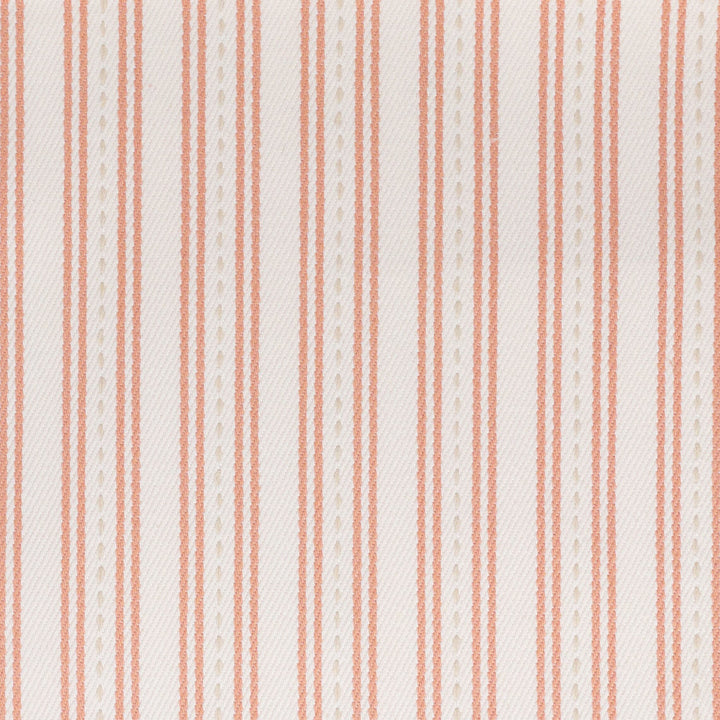 Tara 4 Salmon by Stout Fabric Stout Fabric Tara 4 SalmonFabric RAINBOW LIBRARY CAMELLIA/CLAY 100%COT PORTUGAL </p><p>Repeat: H: 1.125, V: 0.000 54 in - Fabric Carolina -