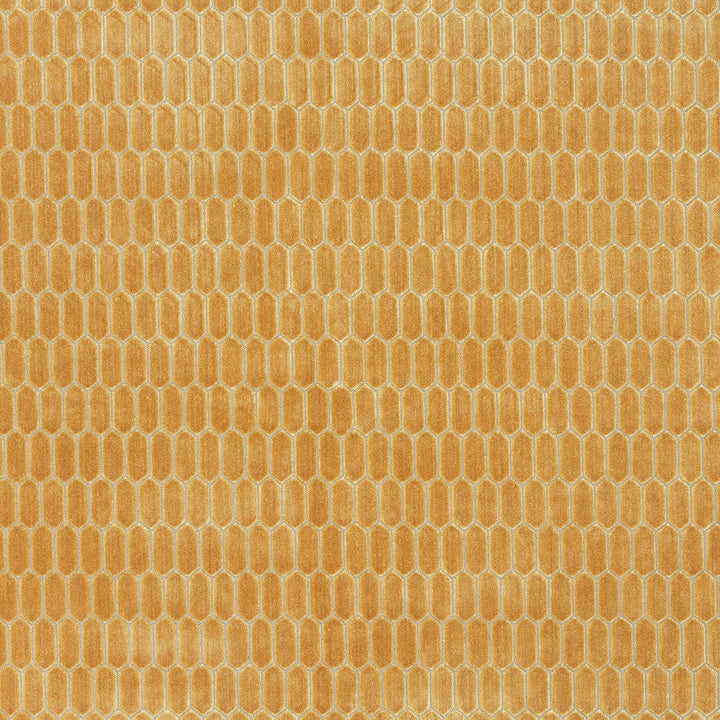 Tarot 4 Dijon by Marcus William Fabric Marcus William Fabric Tarot 4 DijonFabric KAI/MARCUS WILLIAM MIRAGE 59%SVI 41%POL INDIA </p><p>Repeat: H: 0.875, V: 3.250 55 in - Fabric Carolina -