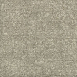 Tarpon Dune by Norbar Designer Fabric 87% POLYESTER 13% COTTON INDIA 54 - Swanky Fabrics -