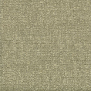 Tarpon Parsley by Norbar Fabric 87% POLYESTER 13% COTTON INDIA 54 - Fabric Carolina -