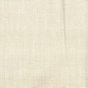Tatoo Champagne by Norbar Fabric See Sample 52 POLY CHENILLE/ 12 POLY INDIA 100,000 WYZENBEEK 54 - Fabric Carolina -