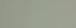 Taurus Silver 90 by Norbar Fabric SENSATION 59% COTTON 41% POLYESTER INDIA 1"V 1"H 55 - Fabric Carolina -