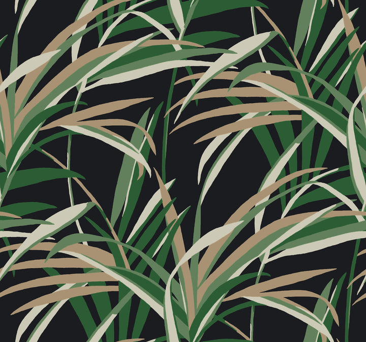 Tropical Paradise Green & Black Wallpaper by York Wallcoverings Tropics Resource Library Covers about 60.8 square feet 27-in by 27-ft long roll Prepasted 25.25 - Fabric Carolina -