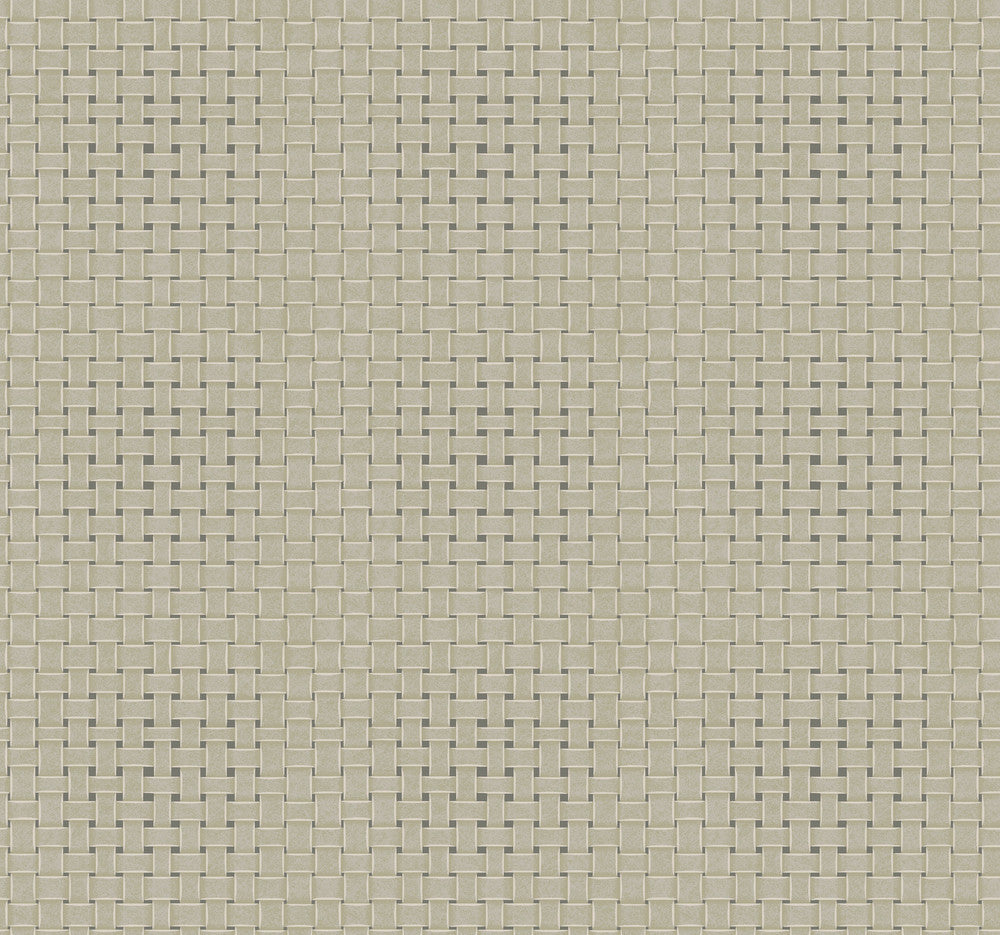 Paradise Island Weave Green Wallpaper by York Wallcoverings Tropics Resource Library Covers about 60.8 square feet 27-in by 27-ft long roll Prepasted 25.25 - Fabric Carolina -